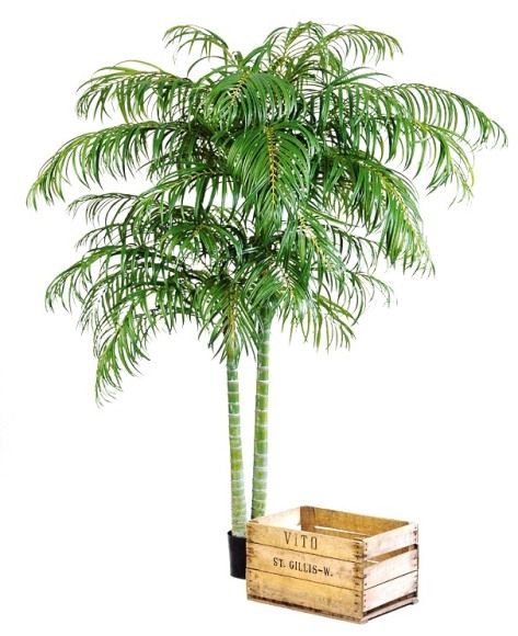 Verouderd Verduisteren Kwijting Kunstplant Palmboom Areca Deluxe 210 cm