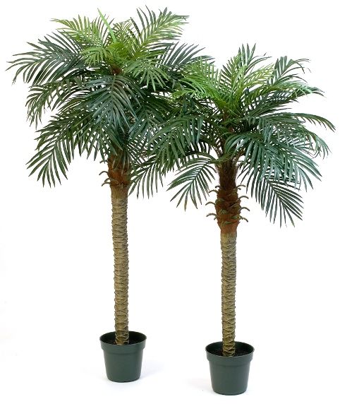 wastafel Land Beangstigend Kunstplant Palmboom Phoenix, formaat 180cm, materiaal zijde, inclusief  plastic pot.